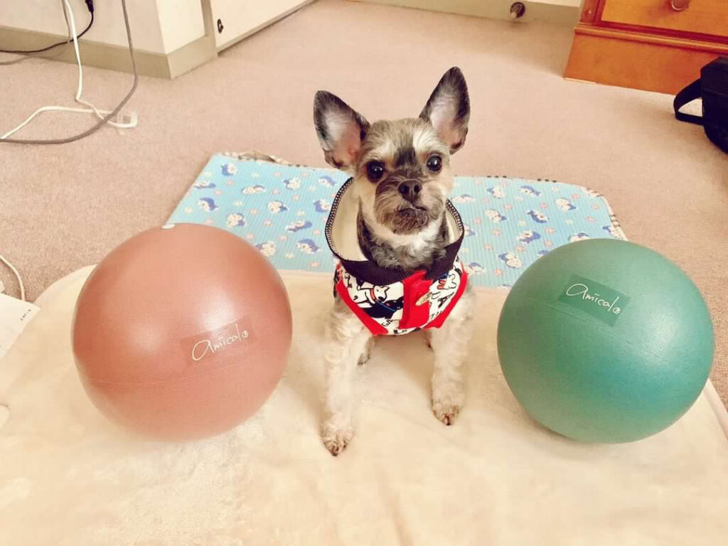 amical®︎オリジナルボール販売ページ | 美容整体サロンamical®︎