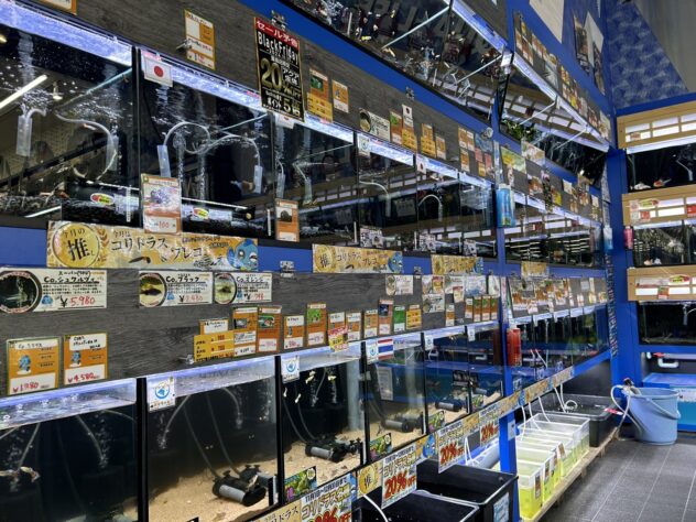 屋島店 | ペットワールド アミーゴ