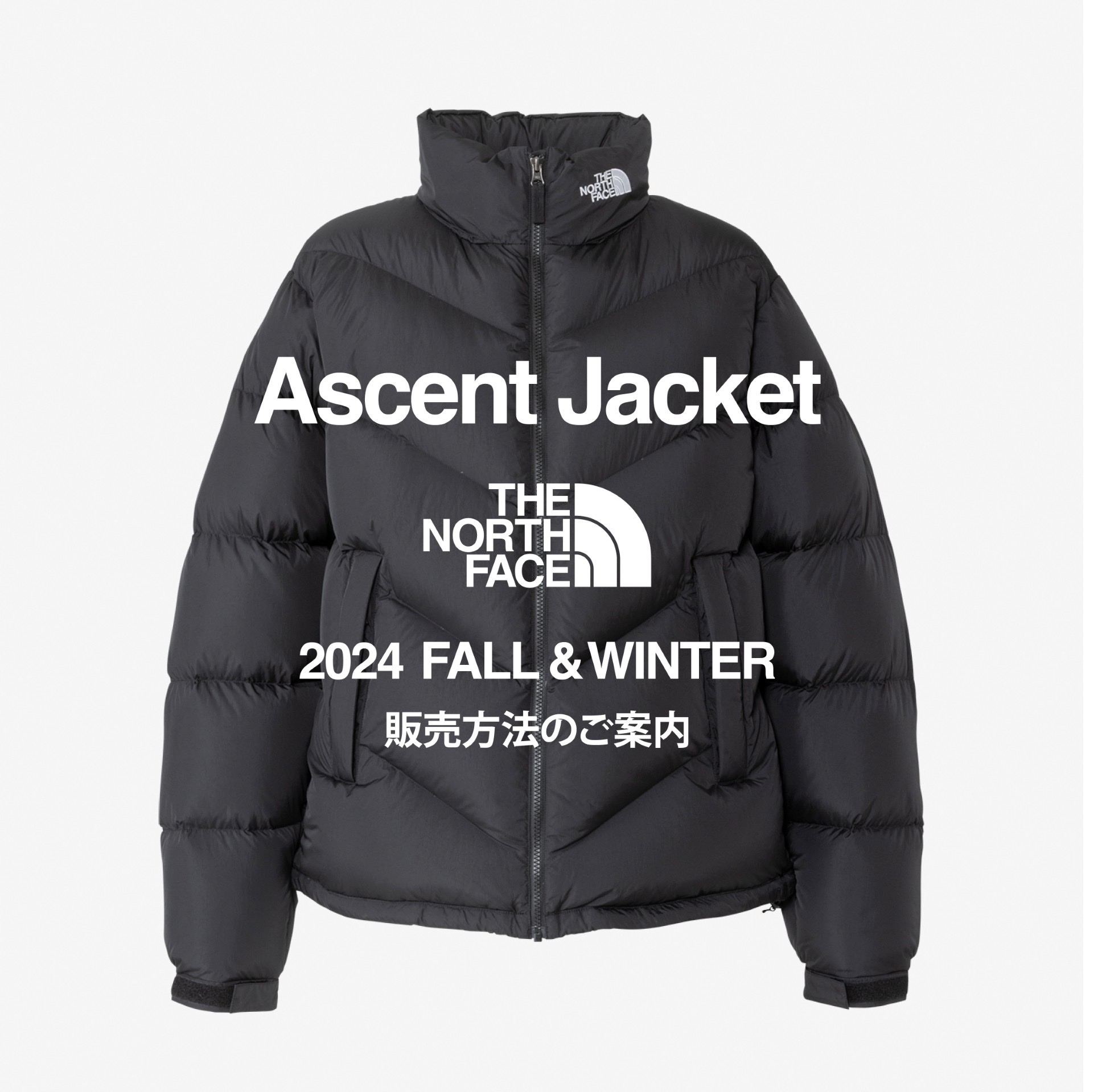 ASCENT JACKET発売開始】 │ザ・ノース・フェイス プラス │ ショップ