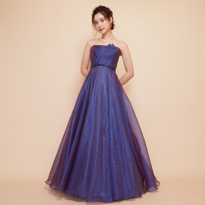 オーロラジャガードオーガンジーブルーパープルドレス