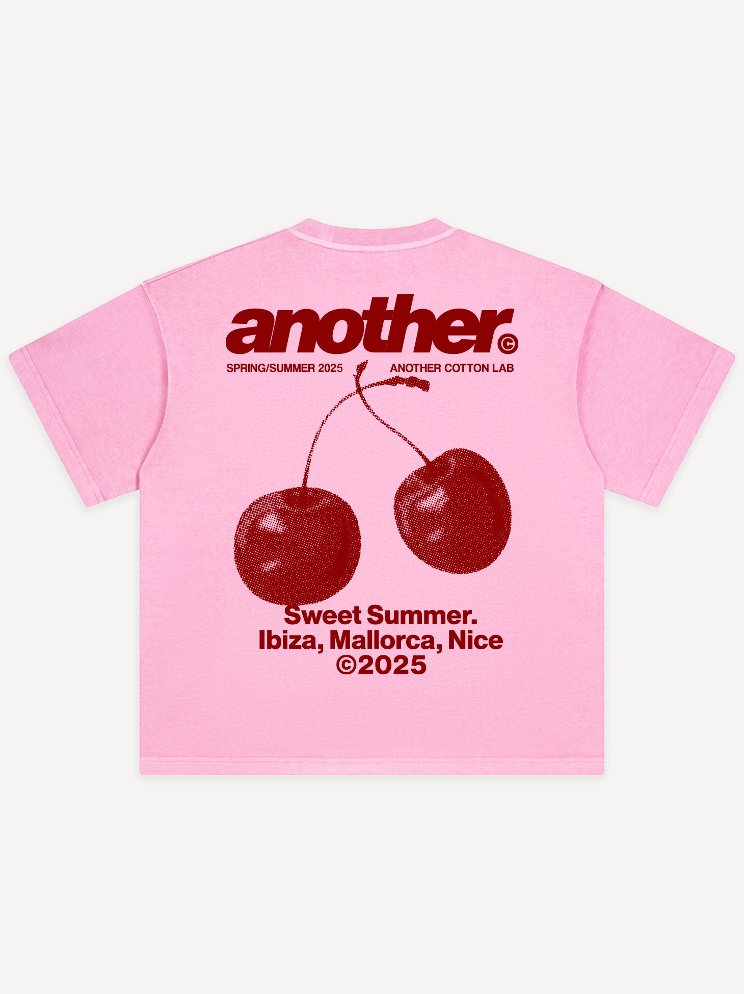 Another Sweet Summer 2025 Edition Oversized T-Shirt – AnotherCottonLab