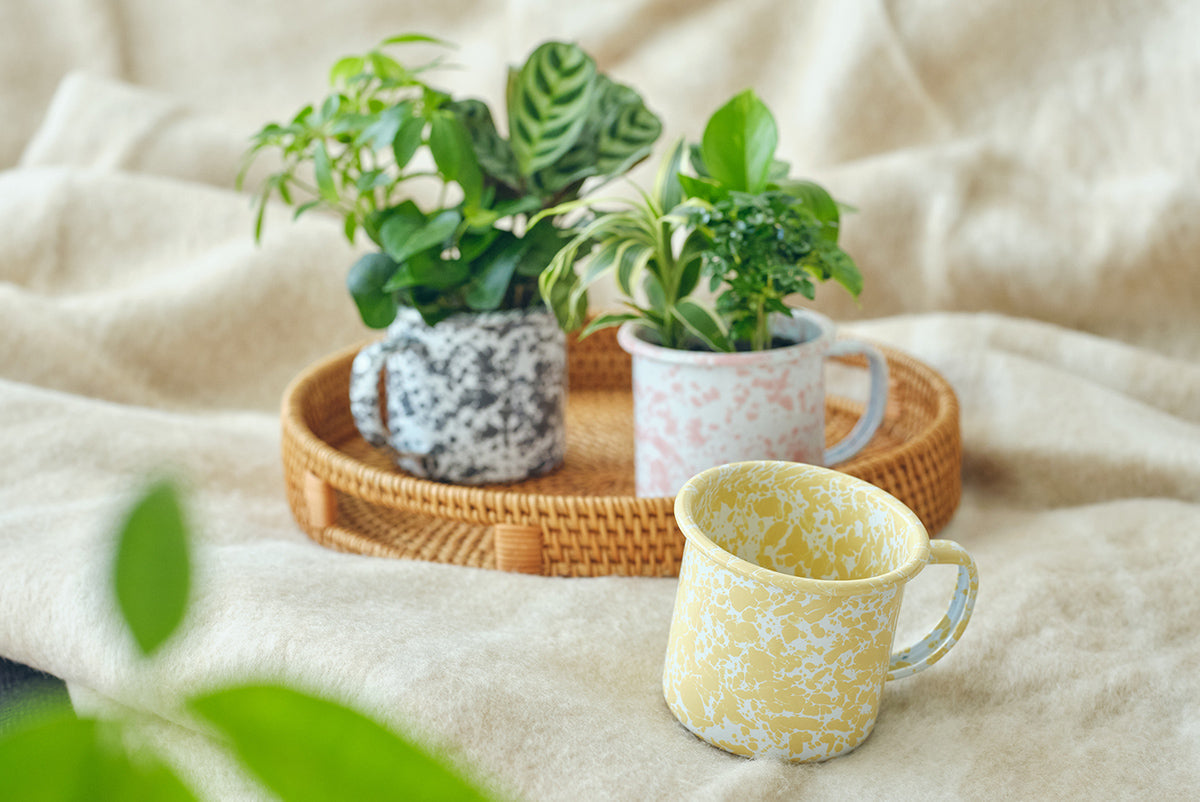 CROW CANYON HOME MUG発売のお知らせ – &Green