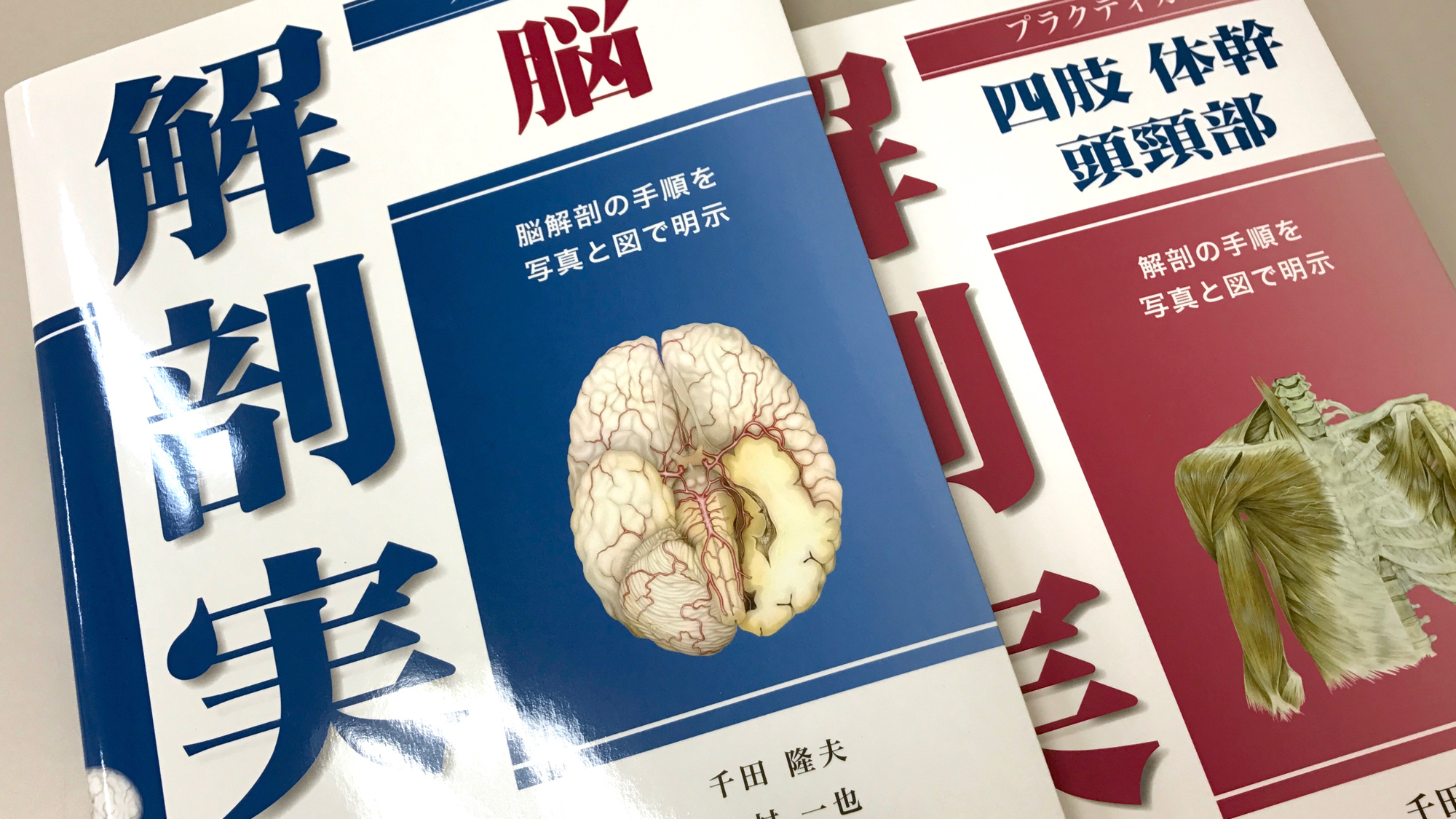 プラクティカル 解剖実習 / Anatomy 今日も明日も/プラクティカル 解剖実習