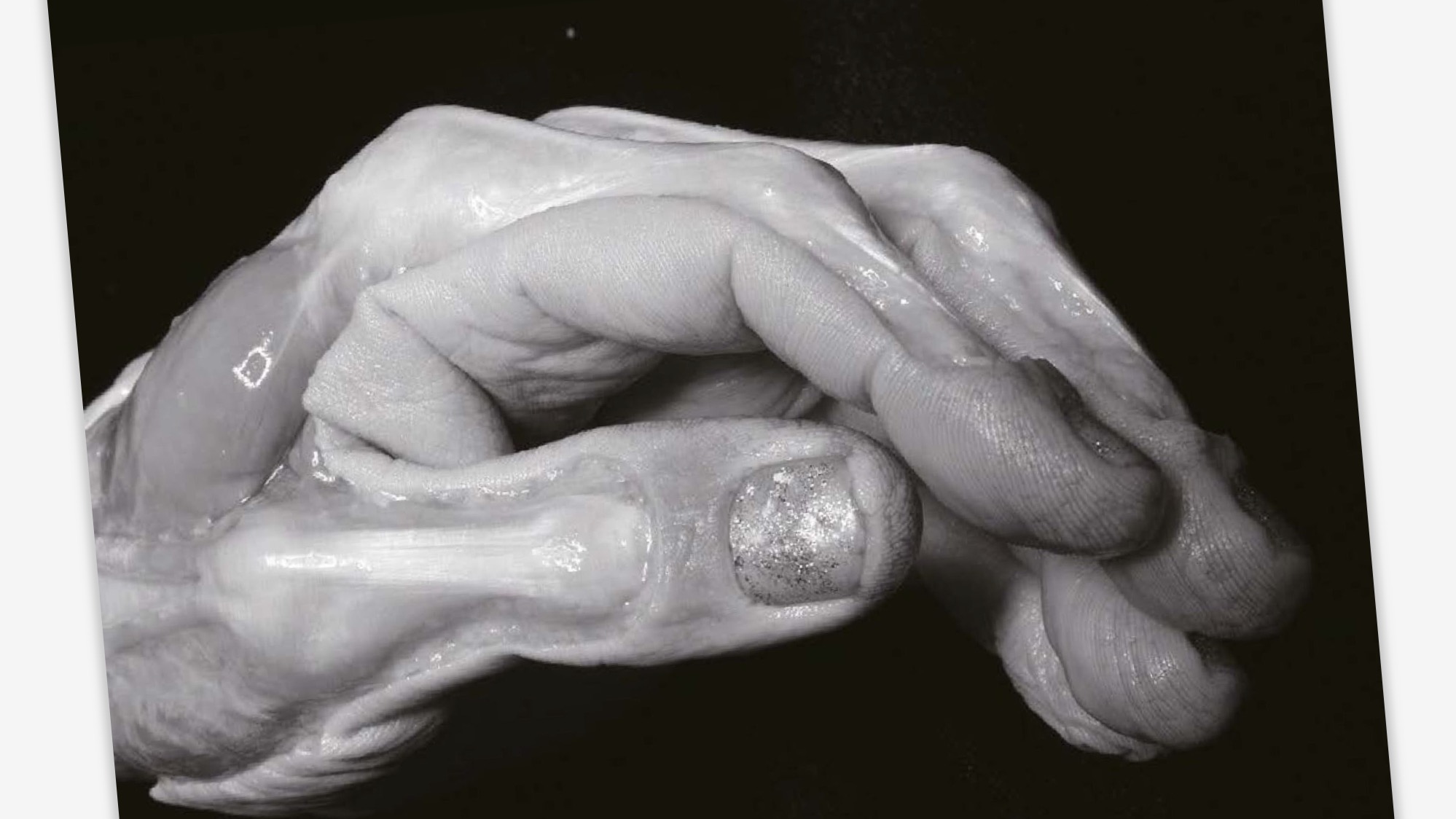 The Grasping Hand 日本語版 / 手の構造 Structures of the Hand