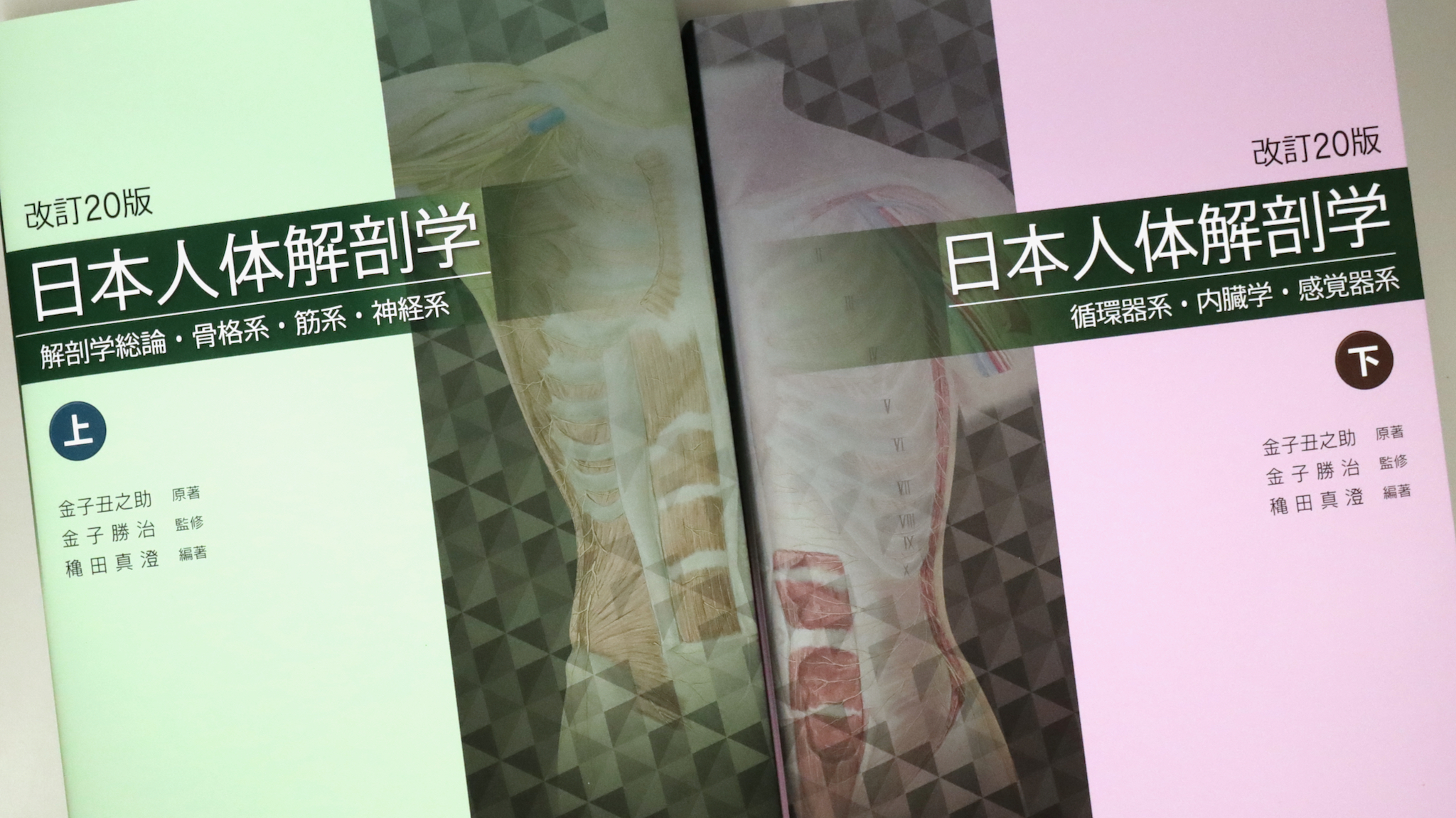 日本人体解剖学 改訂20版 / Anatomy 今日も明日も/日本人体解剖学 改訂20版