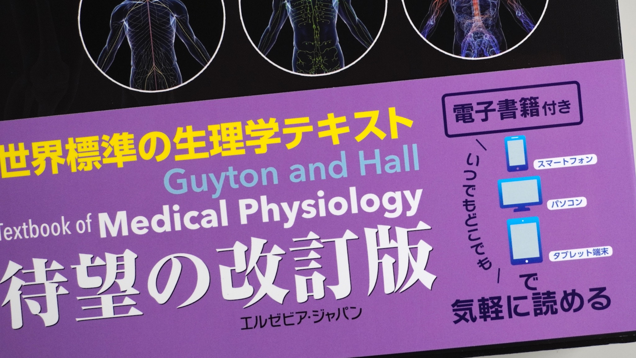 ガイトン生理学 原著第13版 / Anatomy 今日も明日も/ガイトン生理学