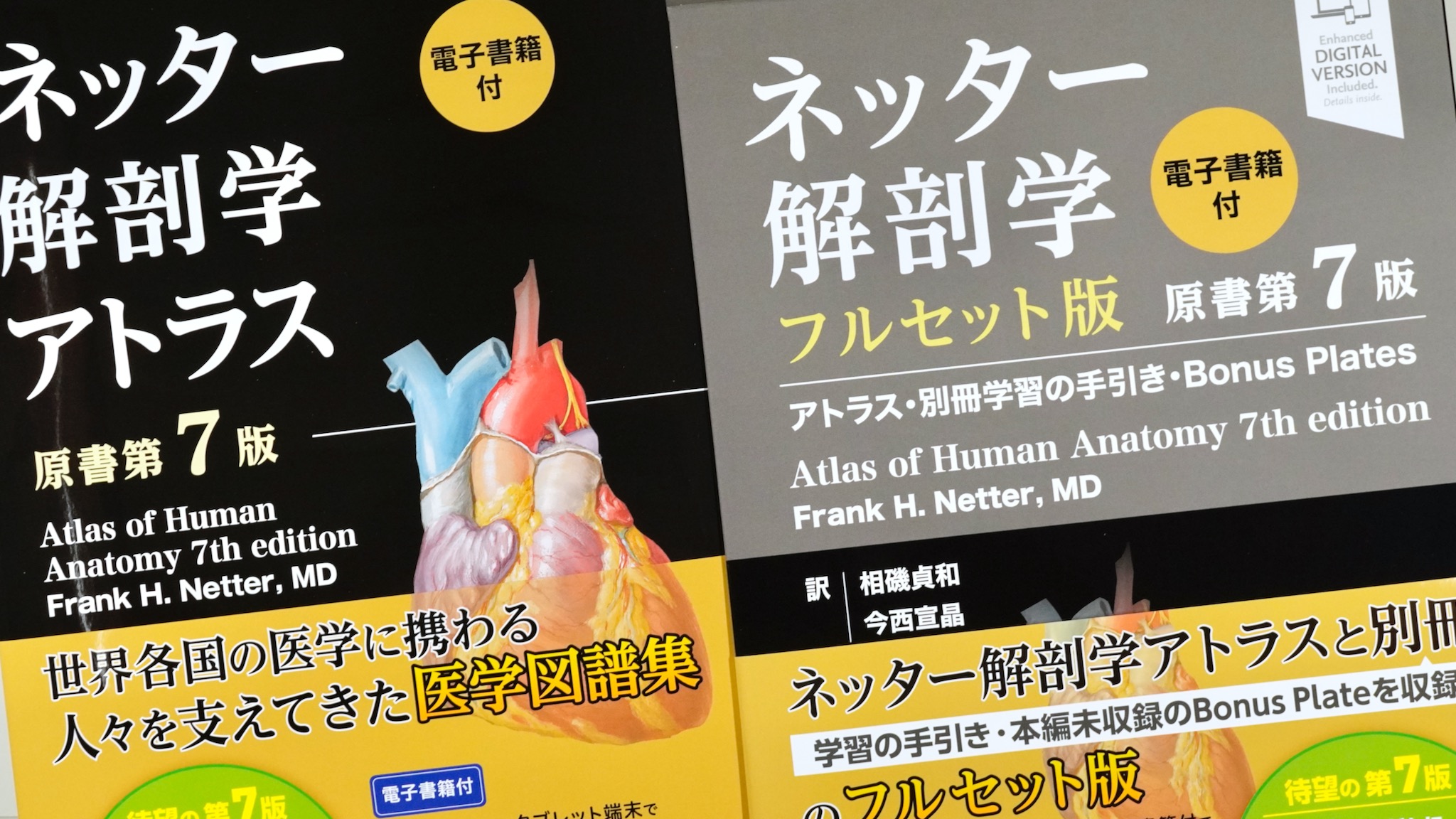 ネッター解剖学アトラス 原著第7版 / Anatomy 今日も明日も/ネッター