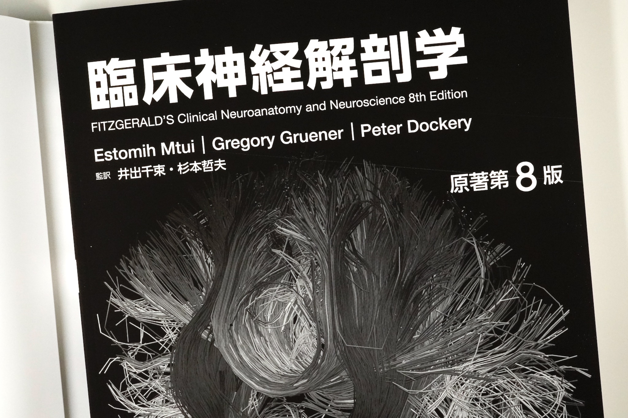 臨床神経解剖学 原著第8版 / Anatomy 今日も明日も/臨床神経解剖学