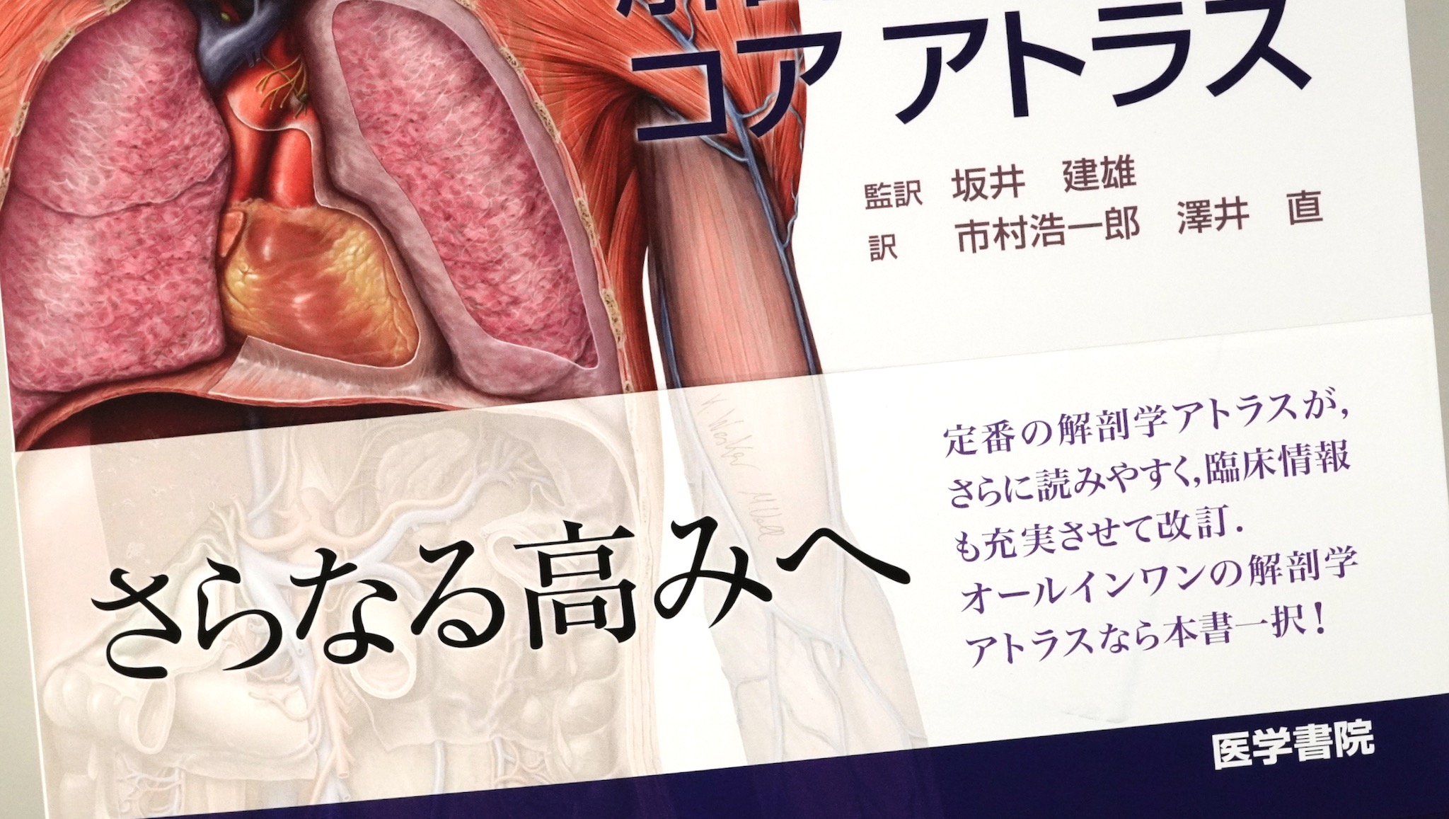 プロメテウス解剖学 コア アトラス 第4版 / Anatomy 今日も明日も