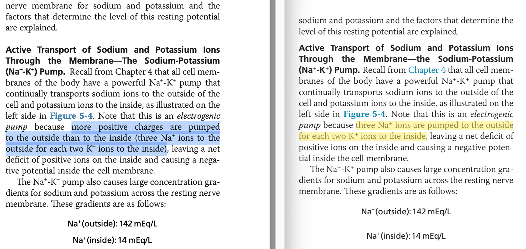 ガイトン生理学 原著第13版 / Anatomy 今日も明日も/ガイトン生理学