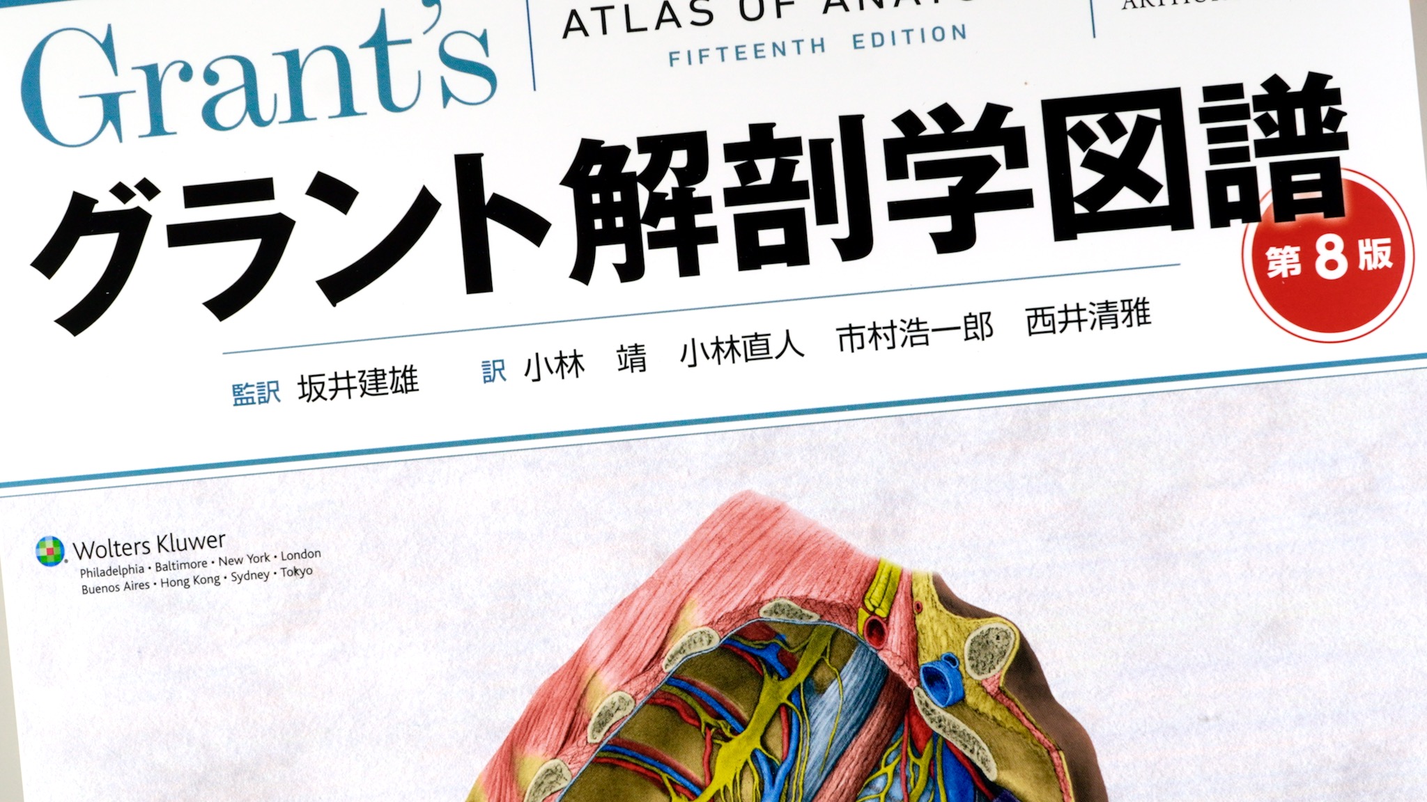 グラント解剖学図譜 第8版 / Anatomy 今日も明日も/グラント解剖学図譜