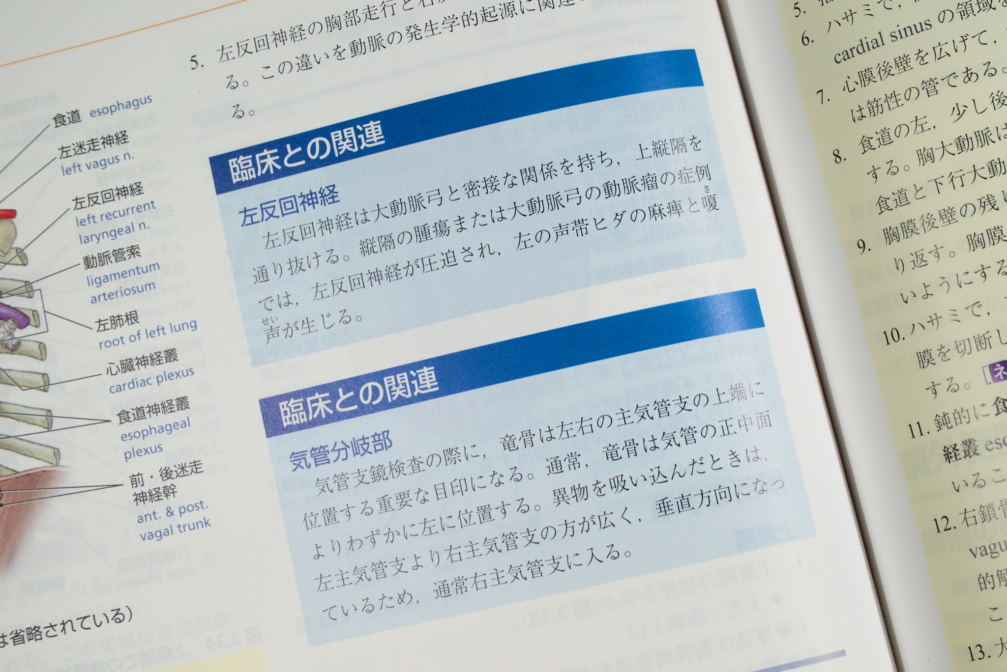 グラント解剖学実習 改訂版 / Anatomy 今日も明日も/グラント解剖学