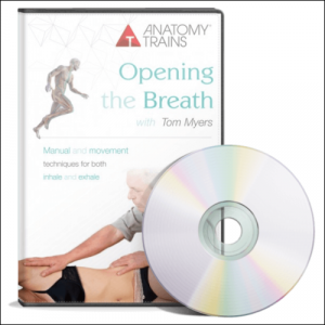 商品 – アナトミー・トレイン日本公式サイト