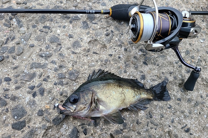 メジャークラフト】三代目クロステージ CRX-S694AJIをインプレ！コスパ