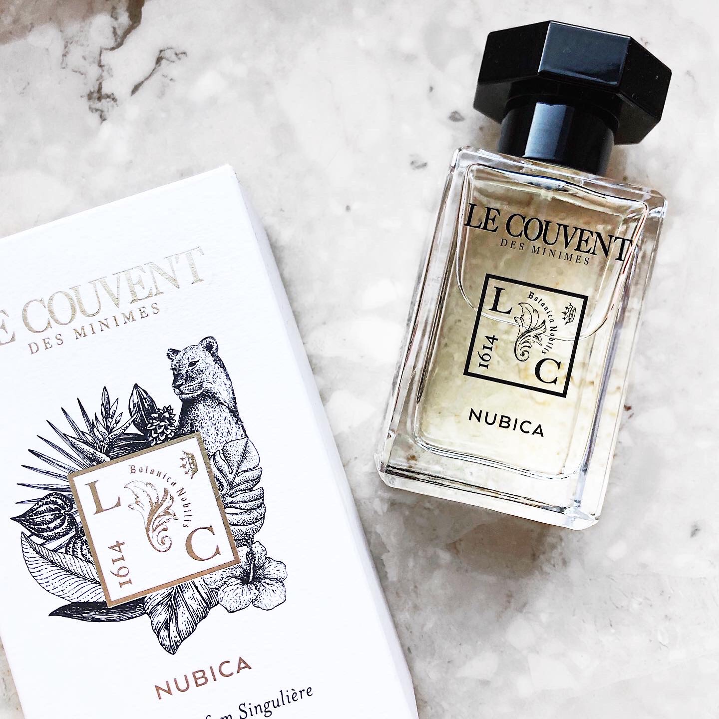 Sensual lioness – Nubica by Le Couvent des Minimes | REVIEW – Ania