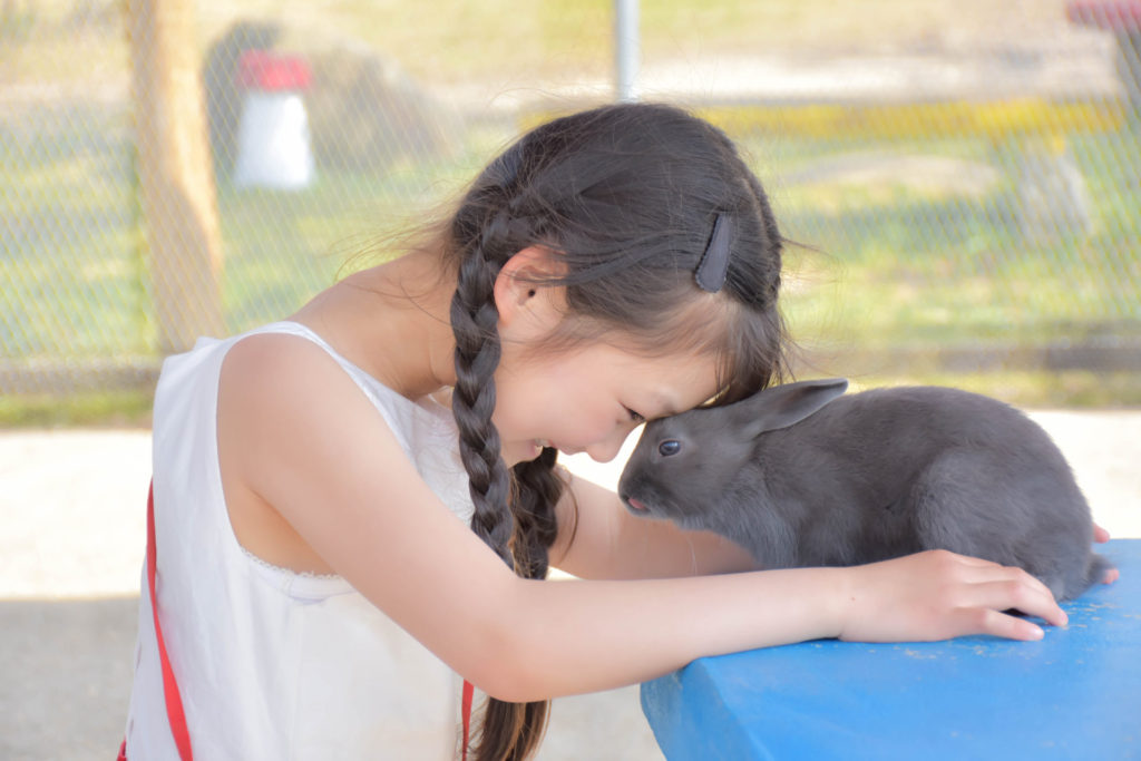 ペットーク講座：コース紹介 - アニマルカウンセラー協会｜アニマル