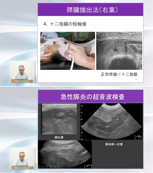 Dr.滝口の腹部エコー読影 エキスパートメソッド | 株式会社 医療情報研究所