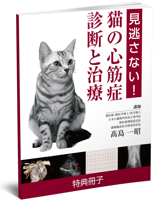 見逃さない！猫の心筋症・診断と治療 | 株式会社 医療情報研究所