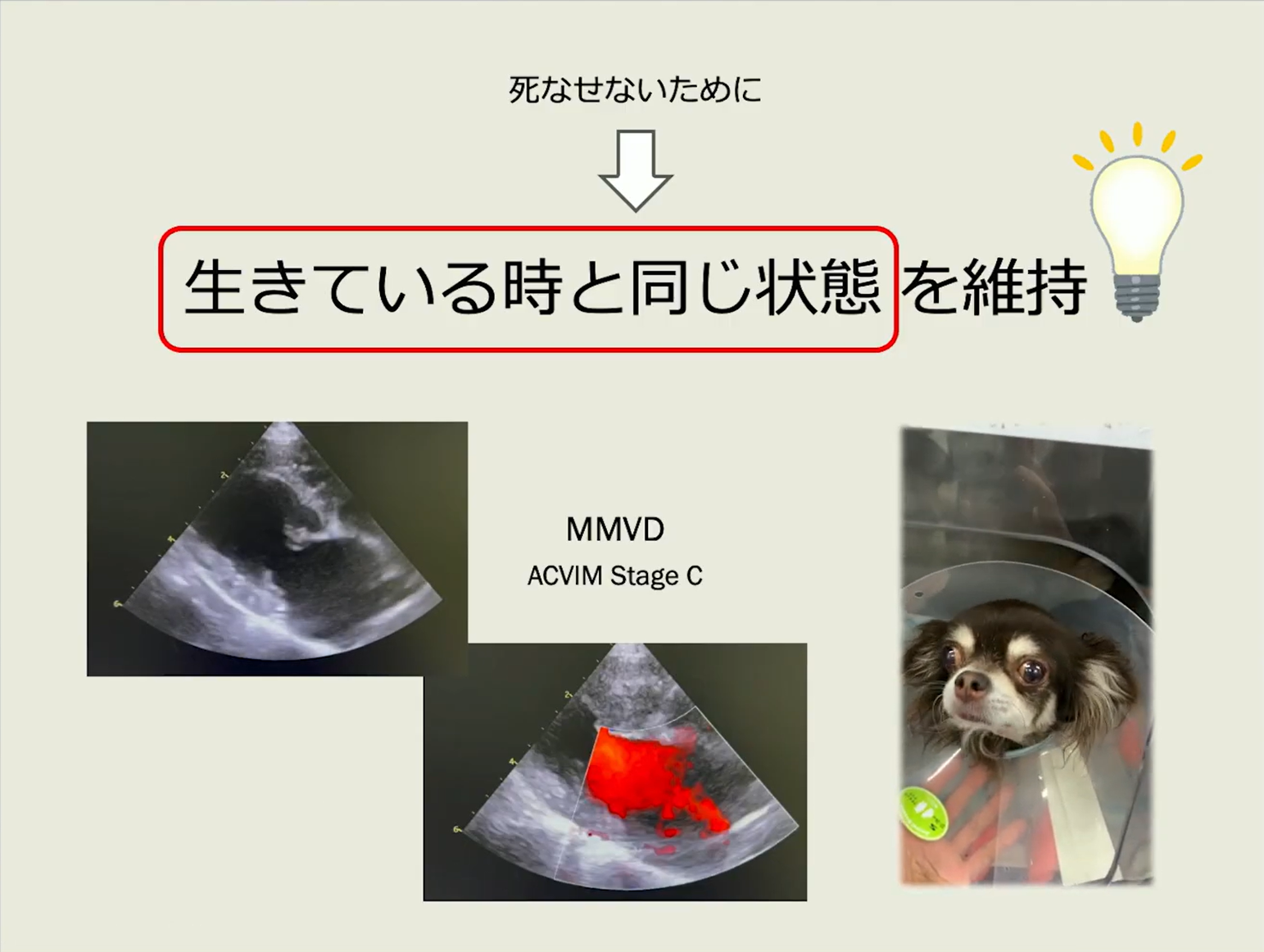 トラブル回避！循環器疾患の安全な麻酔管理術 | 株式会社 医療情報研究所