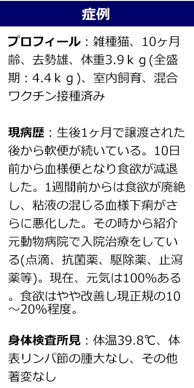確定診断に繋げる！臨床推論 体系的に学ぶ原因疾患の特定方法 | 株式