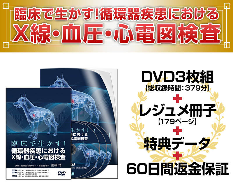 臨床で生かす！循環器疾患におけるX線・血圧・心電図検査 | 株式会社