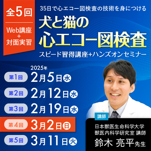 犬と猫の心エコー図検査スピード習得LIVE講座 | 株式会社 医療情報研究所