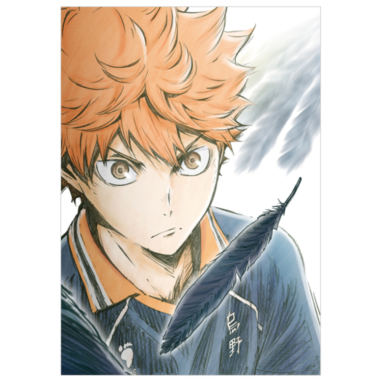 ハイキュー!! 烏野高校 VS 白鳥沢学園高校／DVD／Vol.1（初回生産限定