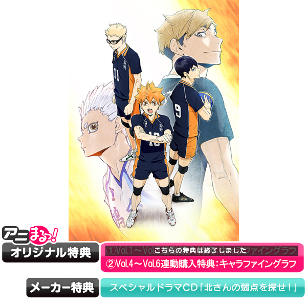 ケース無し//ハイキュー!!【1期～4期】DVD 全29巻セット ケース無し