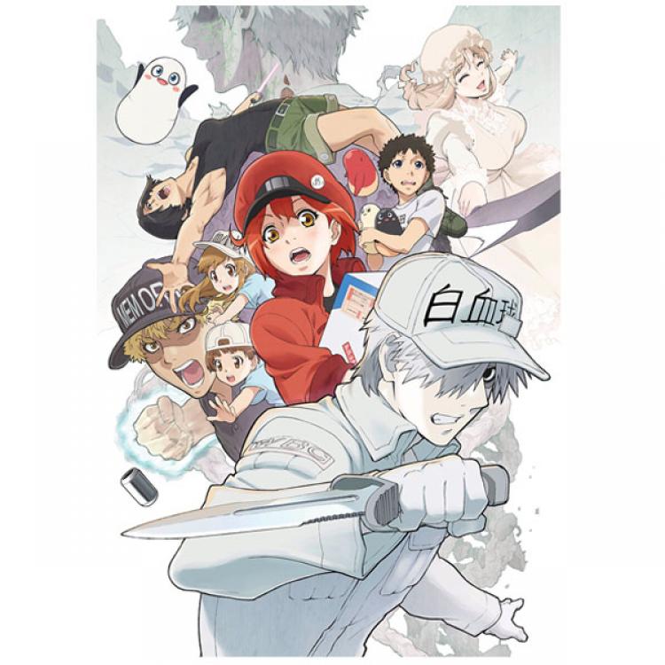 はたらく細胞!!／DVD／4（通常版） | TBS・MBSアニメ 公式オンライン