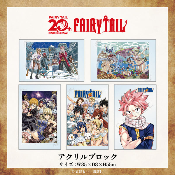 予約:3月上旬以降順次発送】 FAIRY TAIL 原作 アクリルブロック
