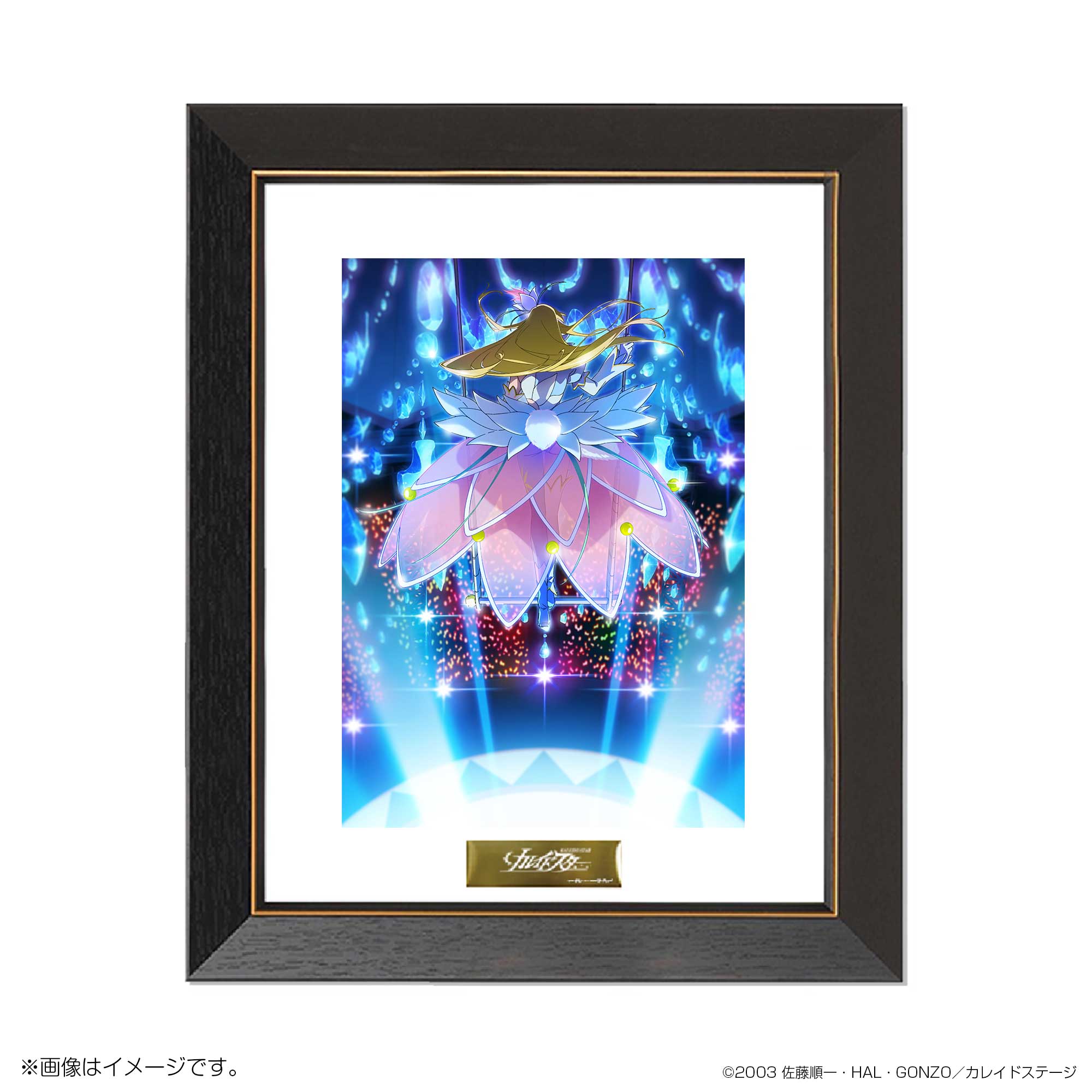 D*N様 カレイドスター 22周年のすごい イベント 台本 サイン付き