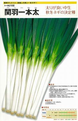 ネギ】関羽一本太〔トーホク交配〕 | 野菜・草花の種苗の通販は【太田