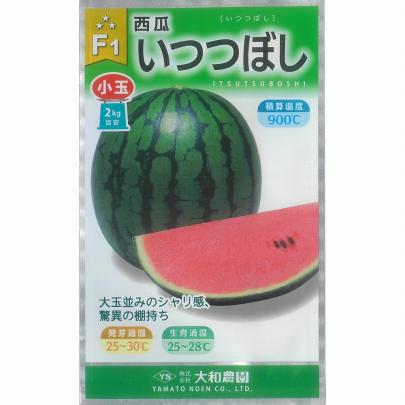 スイカ】F1 いつつぼし 小玉 〔大和農園〕 | 野菜・草花の種苗の通販は