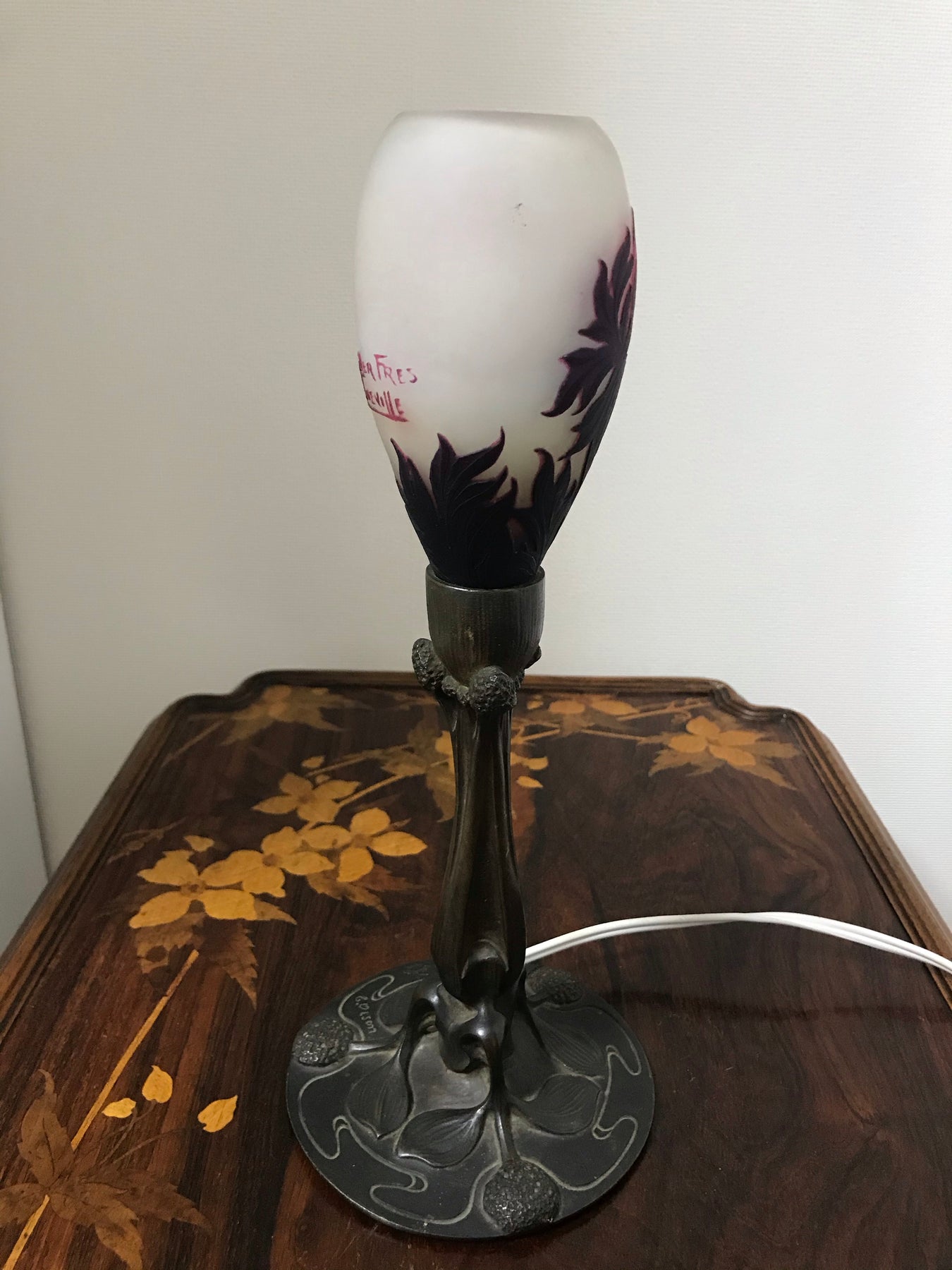 2/15日13:10分に売り切れました！最高峰！ミューラー兄弟 アネモネの花