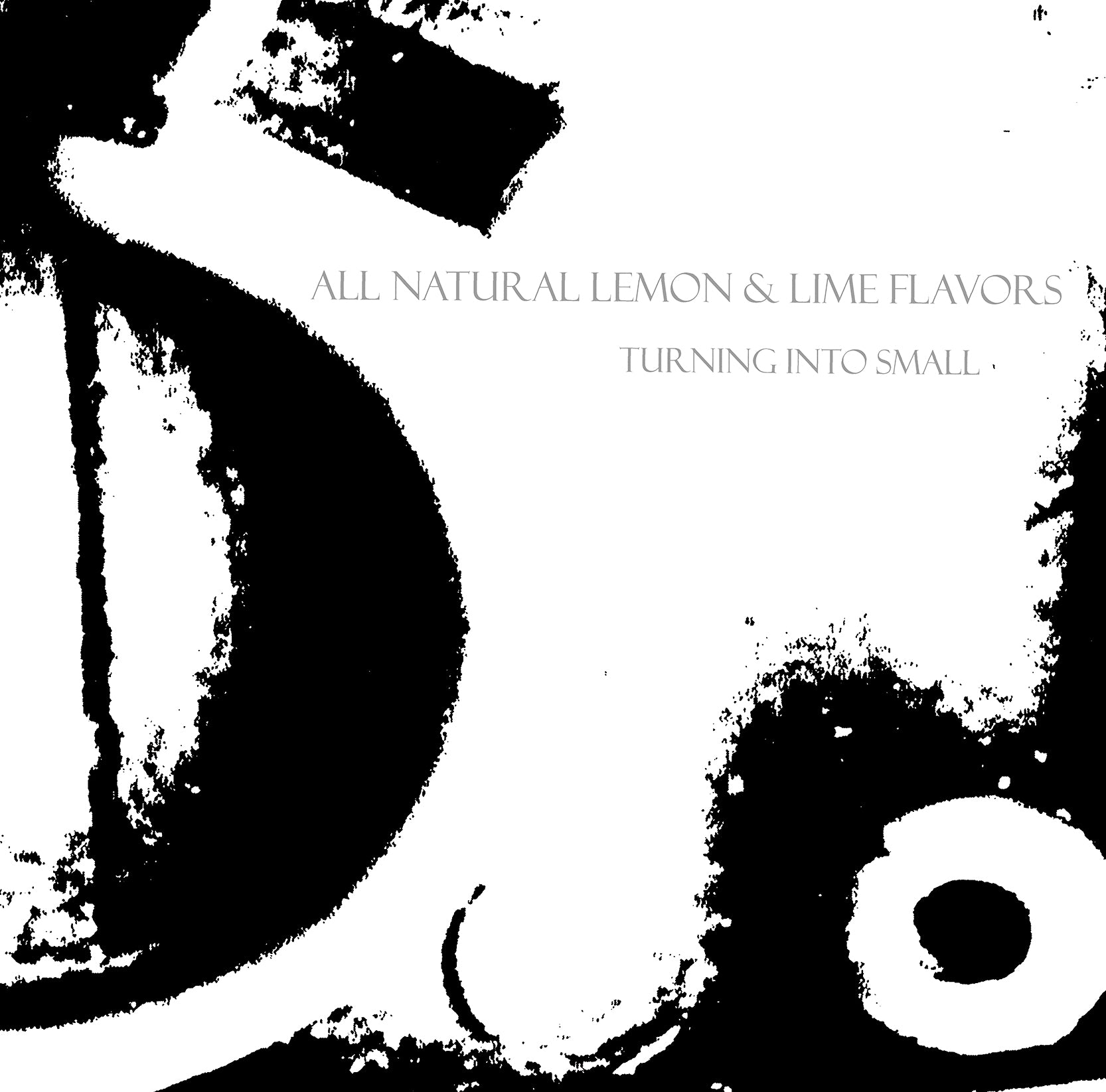 ALL NATURAL LEMON & LIME FLAVORS『Turning Into Small』CD