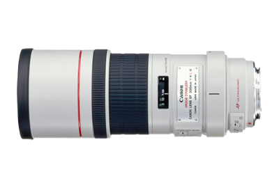 評価・作例】ライトウェイトな望遠単焦点『EF300mm F4L IS USM