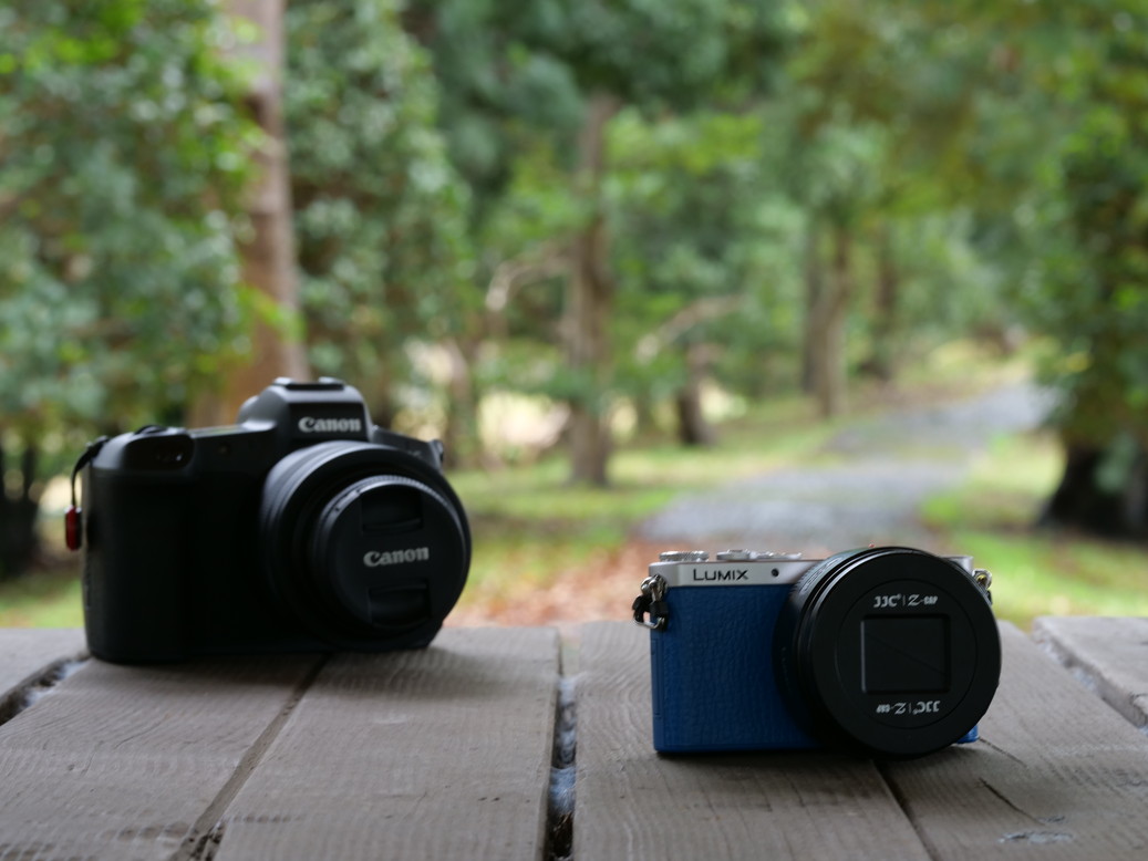 シグマ 56mm F1.4 DC DN マイクロフォーサーズ 徹底レビュー - とるなら