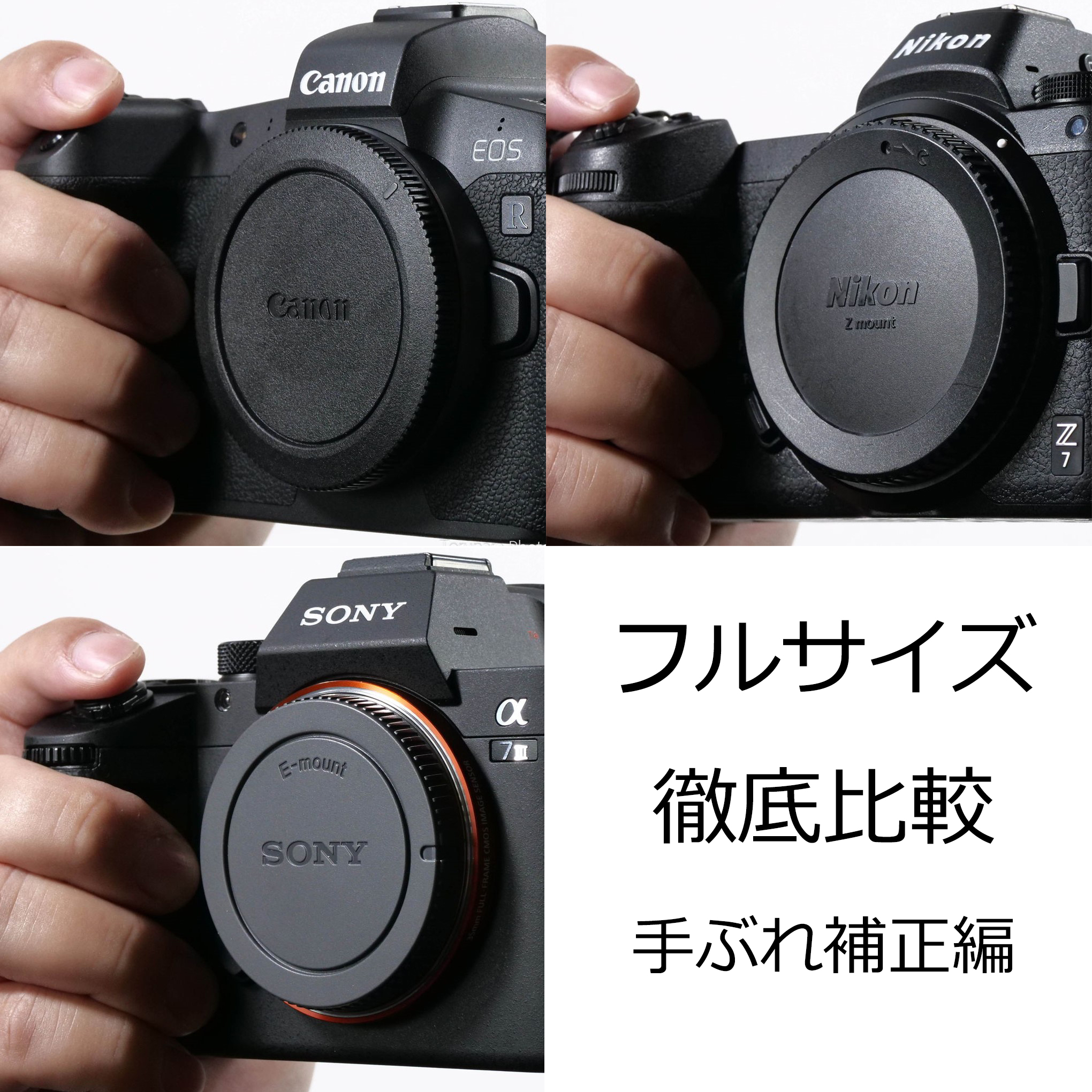 フルサイズミラーレス徹底比較 EOS R・Nikon Z 7・α7 IIIの違い