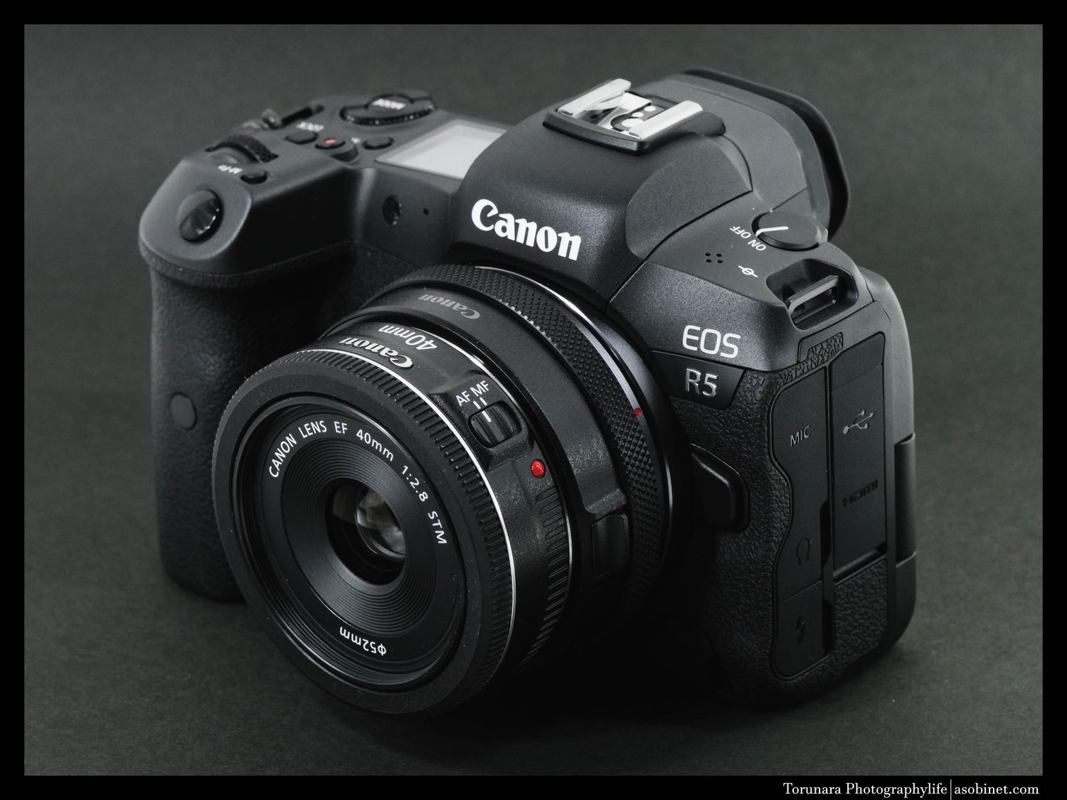 キヤノンEF40mmF2.8 STMは4500万画素のEOS R5でもイケイケなレンズか