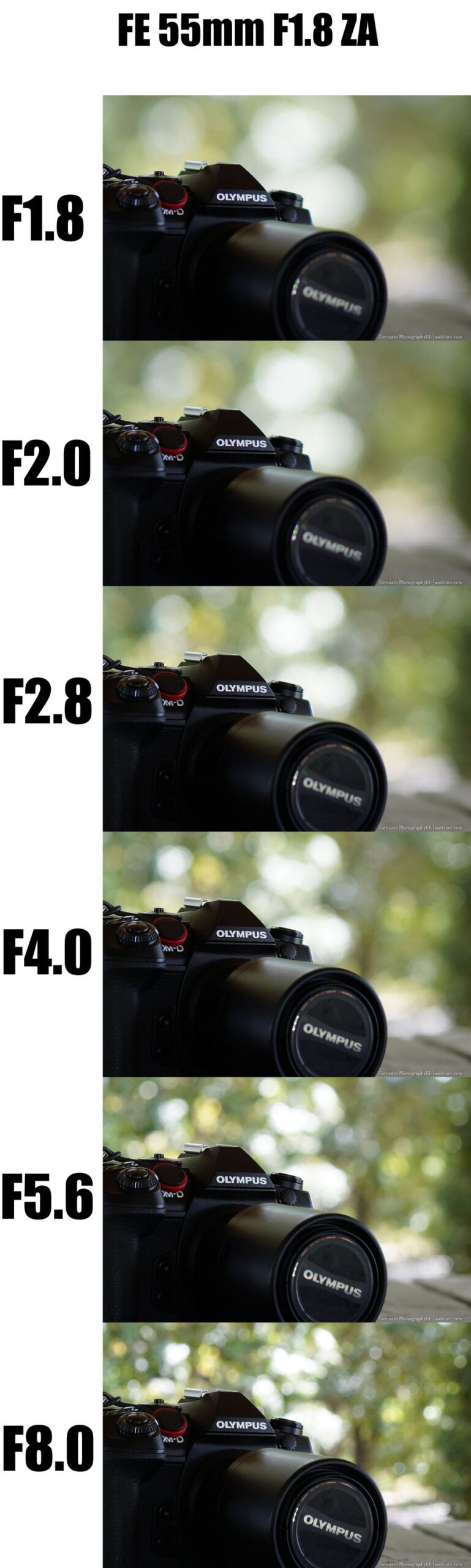 ソニー「Sonnar T* FE 55mm F1.8 ZA × α7R IV」徹底レビュー ボケ描写