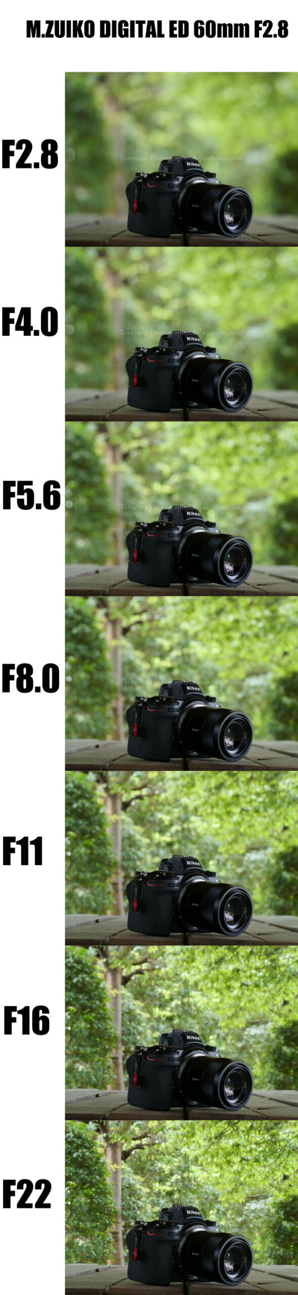 OMDS「M.ZUIKO ED 60mm F2.8 Macro」レンズレビュー ボケ編 - とるなら