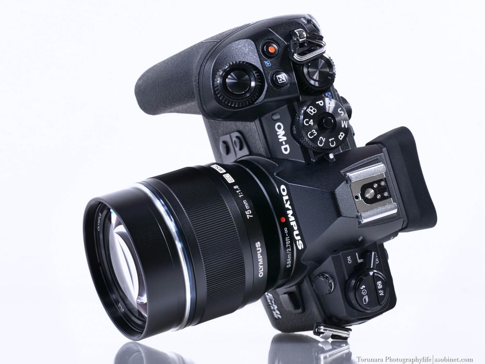 OMDS「M.ZUIKO DIGITAL ED 75mm F1.8」レンズレビュー ボケ編 - とるなら