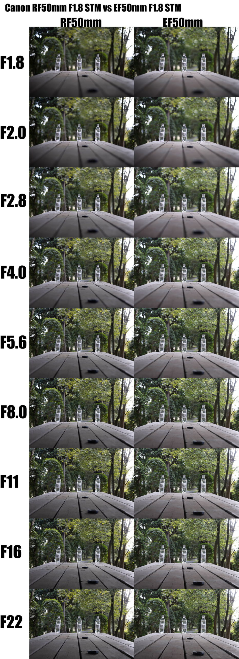 キヤノン「RF50mm F1.8 STM」vs「EF50mm F1.8 STM」ボケ編 - とるなら