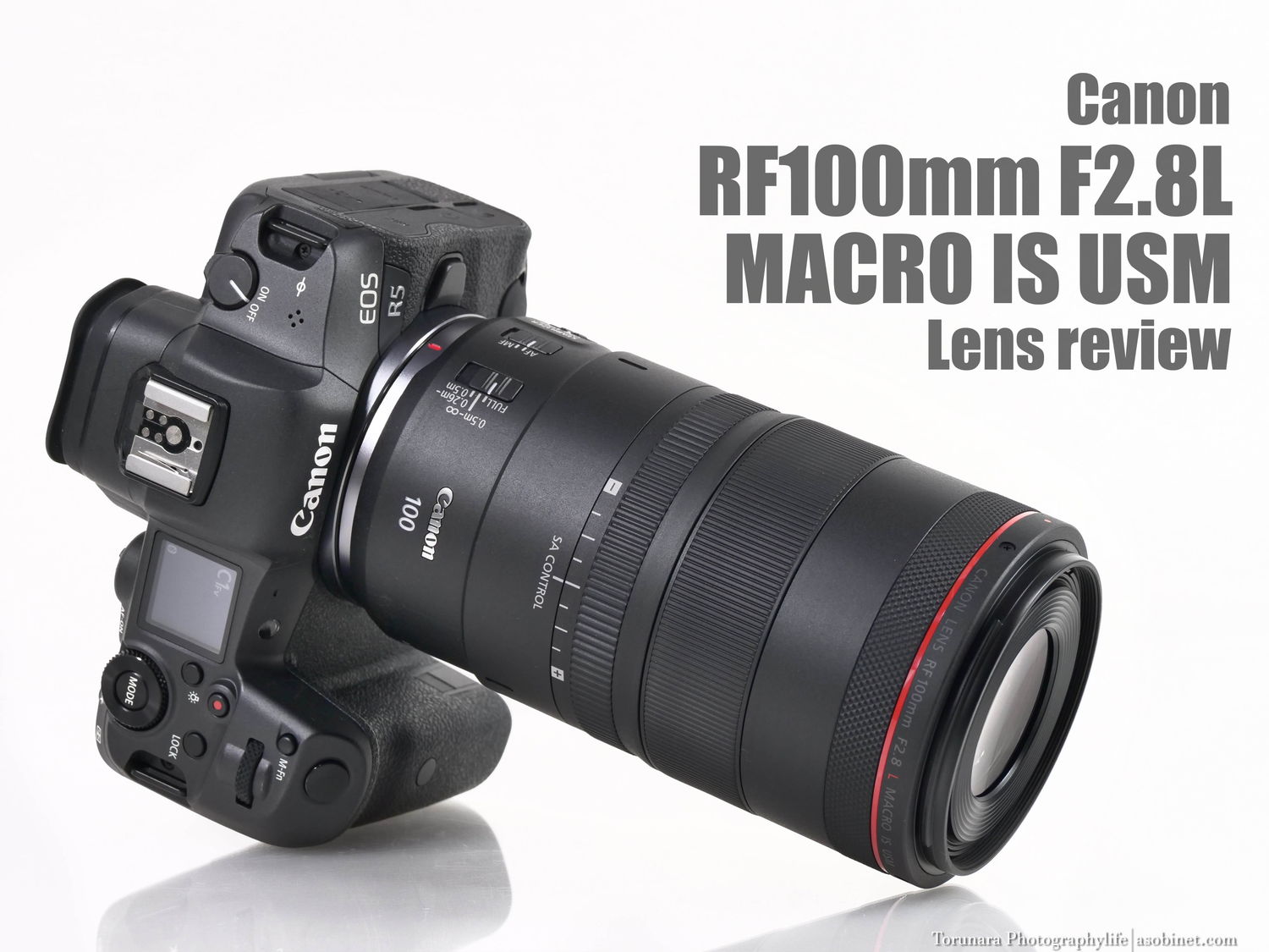 RF100mm F2.8 L MACRO IS USM Shooting experience - とるなら