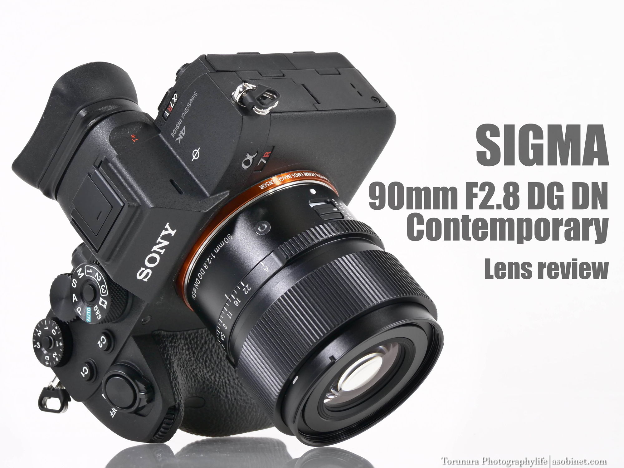 シグマ 90mm F2.8 DG DN | C 徹底レビュー 近距離解像編 - とるなら