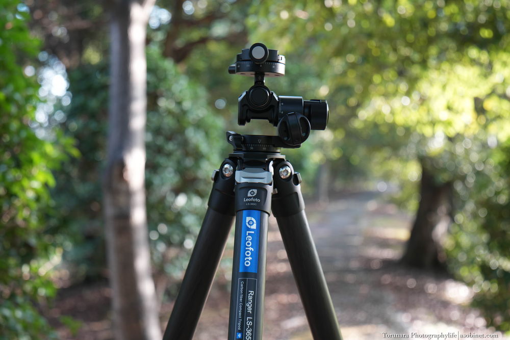 タムロン 17-50mm F/4 Di III VXD レンズレビューVol.4 ボケ 編 - とるなら