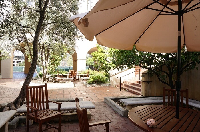 カリフォルニア司法試験の勉強時間を効率化！合格者によるおすすめテキスト