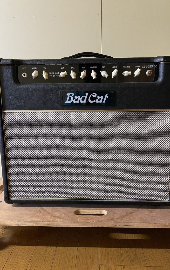 Badcat cougar 50 ツアーケース付き Bad cat Badcat cougar 50 ツアー