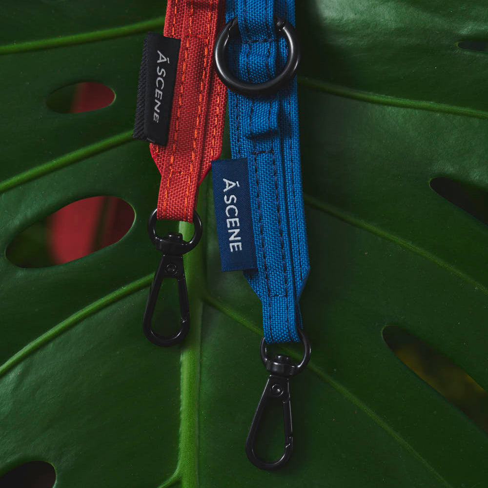 24SS New Release 第2弾 – A SCENE