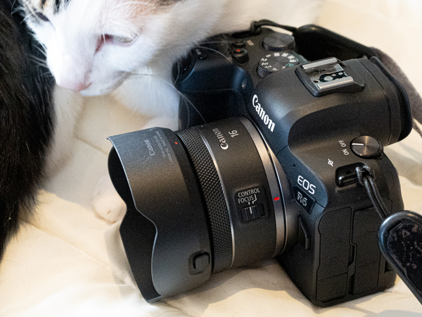 ASCII.jp：キヤノンの超広角レンズ「RF 16mm F2.8 STM」をつけて近距離
